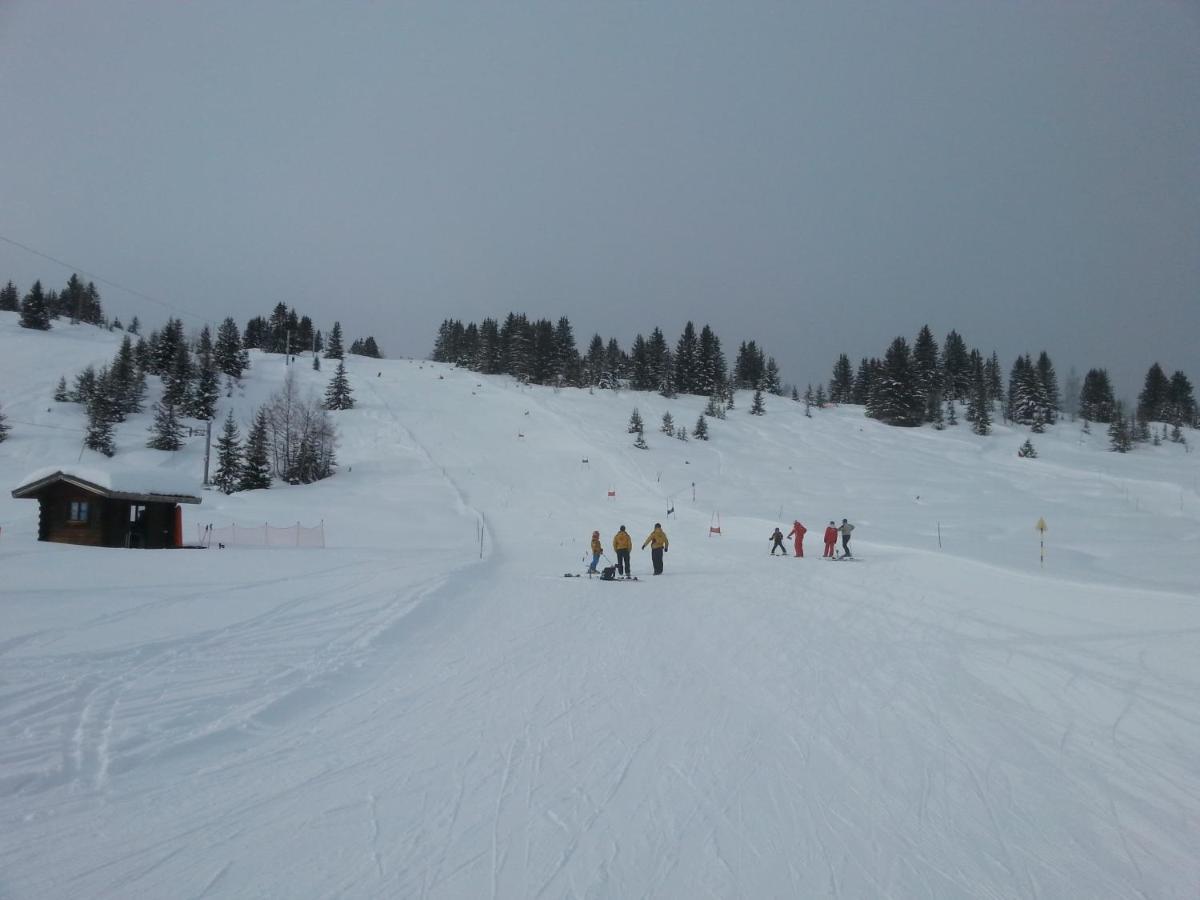 Le Chalet D'Eleonore Les Saisies Eksteriør billede